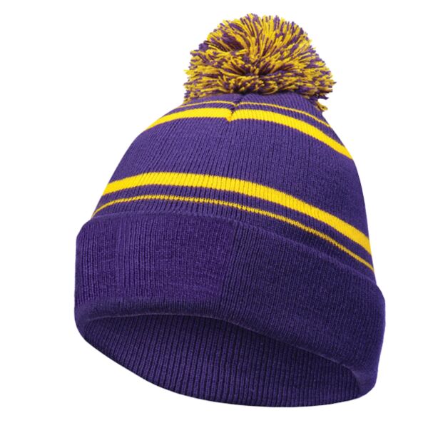 Homecoming Beanie Thumbnail