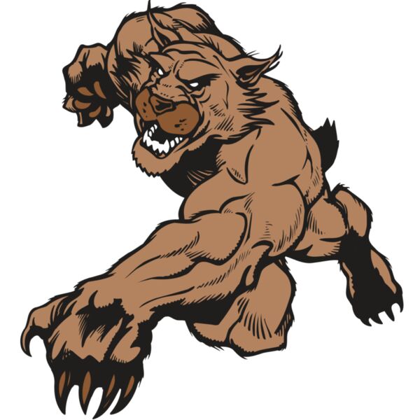 AR WILDCAT 47 RC Thumbnail