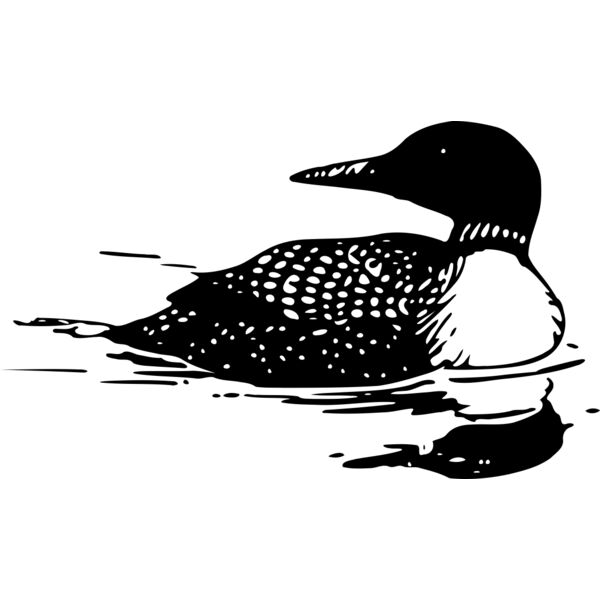 ryanlerch Common Loon Thumbnail