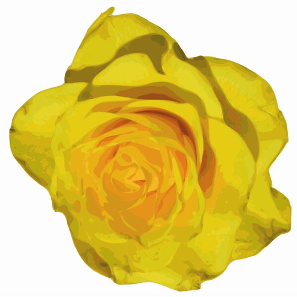 yves guillou flower 13 Thumbnail