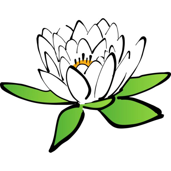 lotus Thumbnail