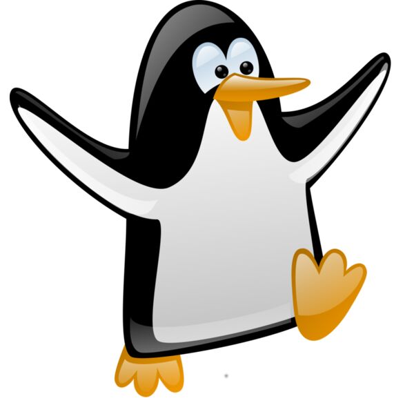 penguin  12  Thumbnail