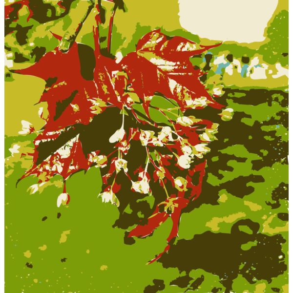 Original Aiflowers 221 Thumbnail