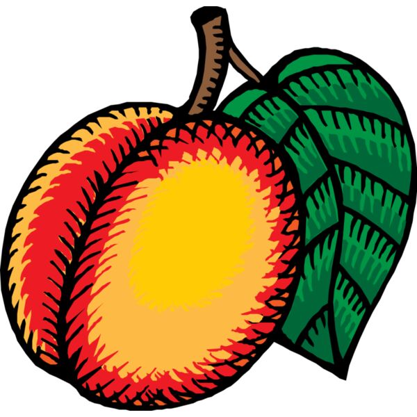 johnny automatic nectarine Thumbnail