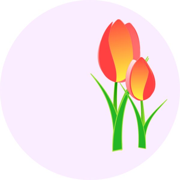 Tulips Thumbnail