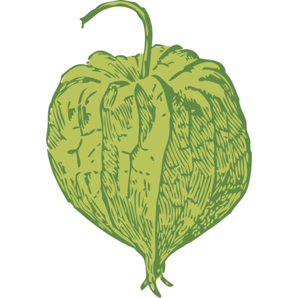 johnny automatic tomatillo Thumbnail