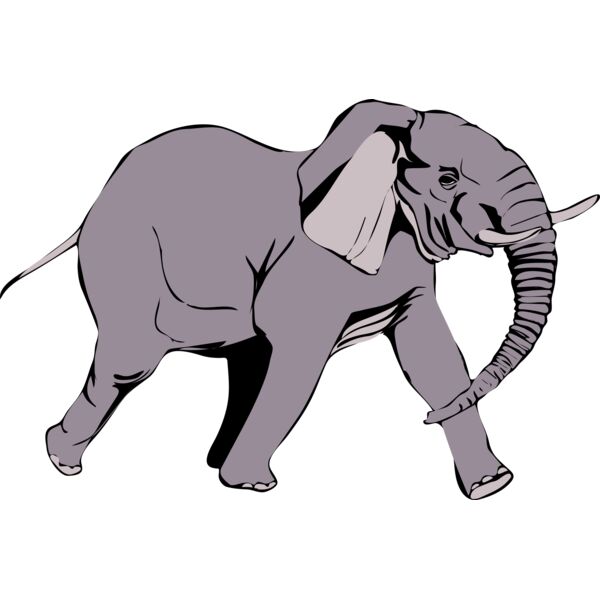 Anonymous Architetto    Elefante in corsa  2  Thumbnail