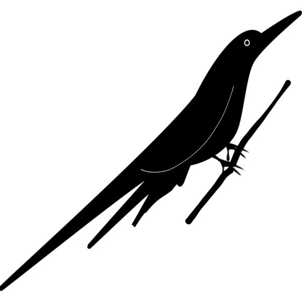 bird  6  Thumbnail