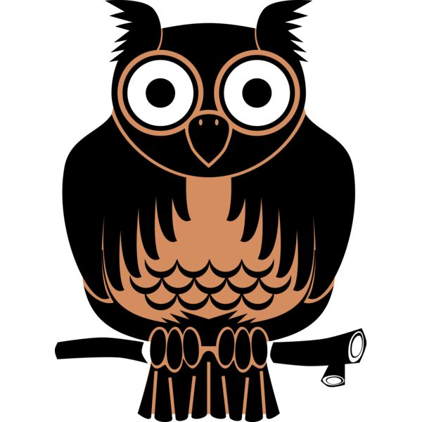 owl Thumbnail