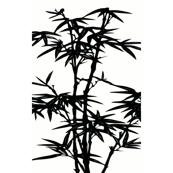 25022b99  2  Thumbnail