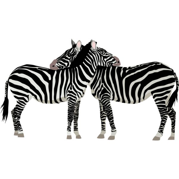 zebras Thumbnail
