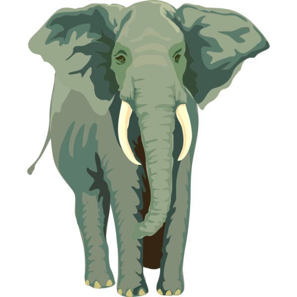 Anonymous Architetto    Elefante 01 Thumbnail