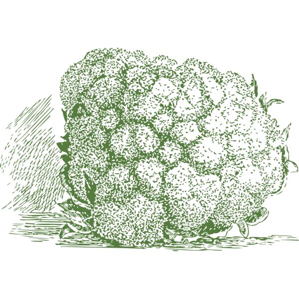 johnny automatic cauliflower Thumbnail