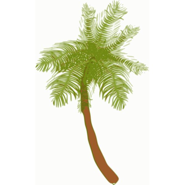 biswajyotim Coconut tree  2  Thumbnail