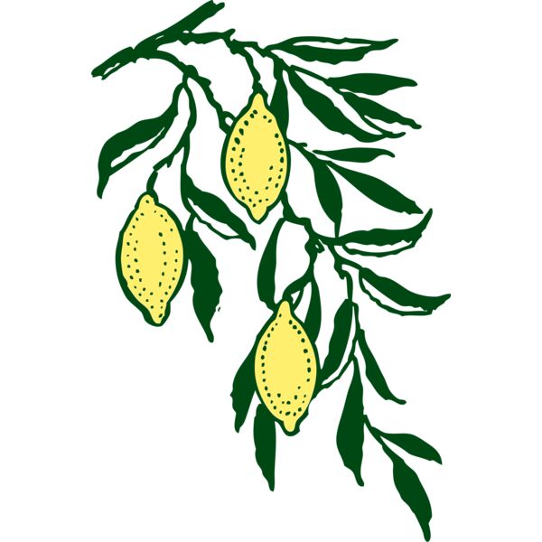 johnny automatic lemon branch Thumbnail