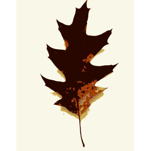 More fall tree leaves 2 Thumbnail