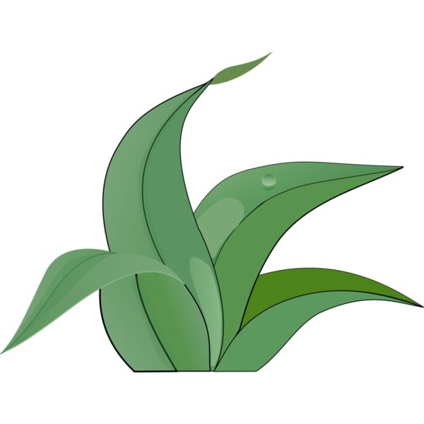 martinix leaves Thumbnail