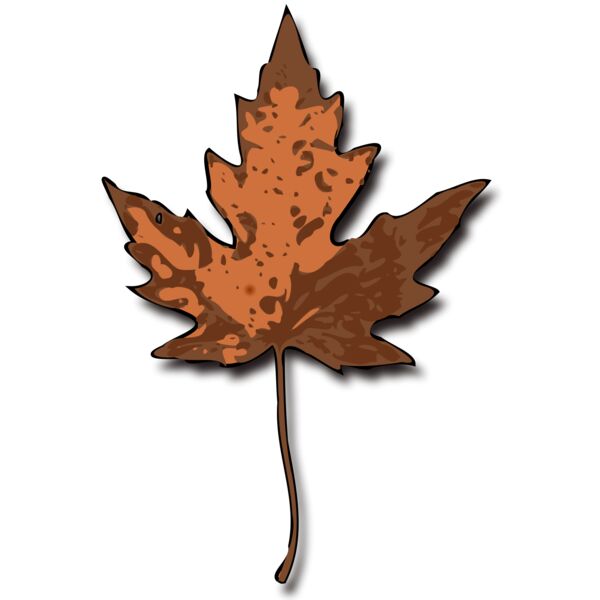 jimmiet Maple Leaf Thumbnail