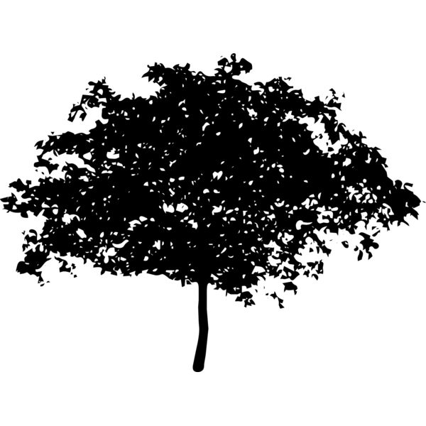 tree8 Thumbnail