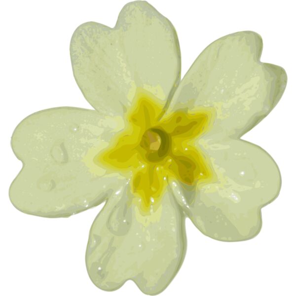 yves guillou flower 10 Thumbnail