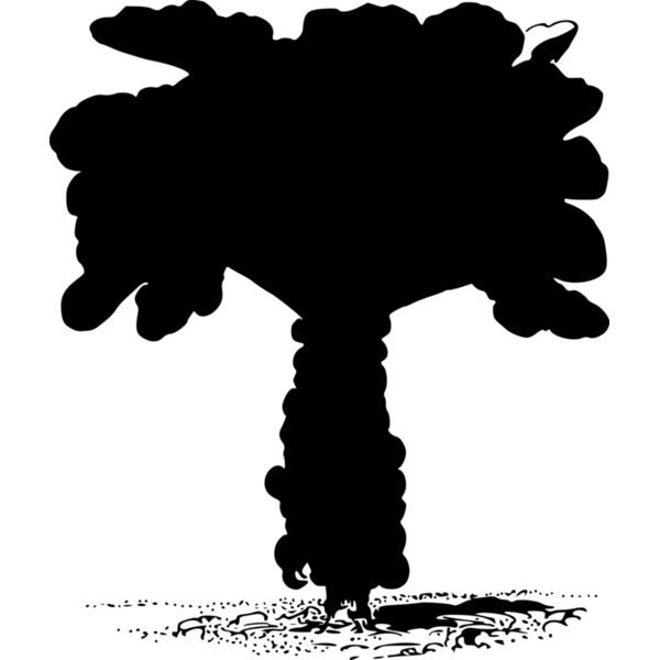 warszawianka Brussel sprouts Thumbnail