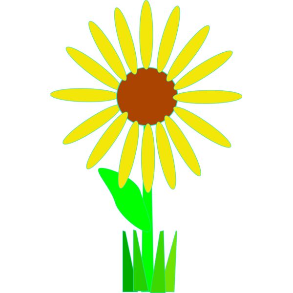 Machovka flower 1 Thumbnail