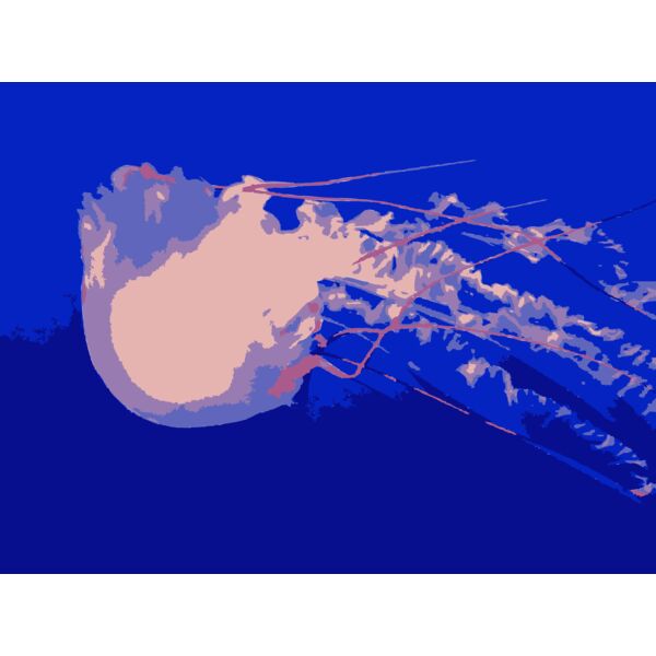 Jellyfish 02 Thumbnail