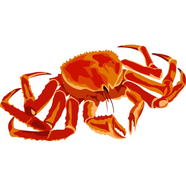 crab Thumbnail
