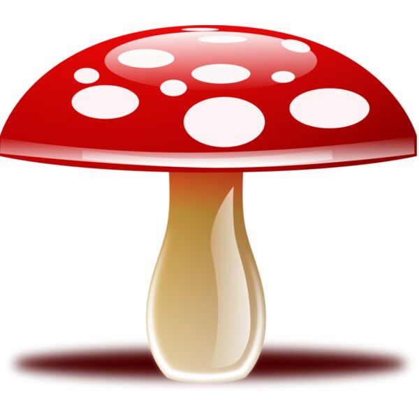 mushroom  10  Thumbnail