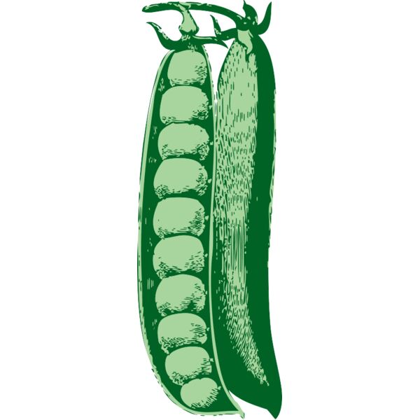 johnny automatic peas Thumbnail