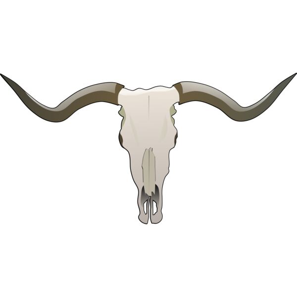 longhorn skull Thumbnail