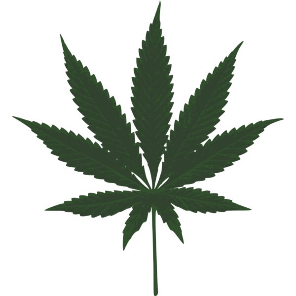 kotik cannabis leafs Thumbnail