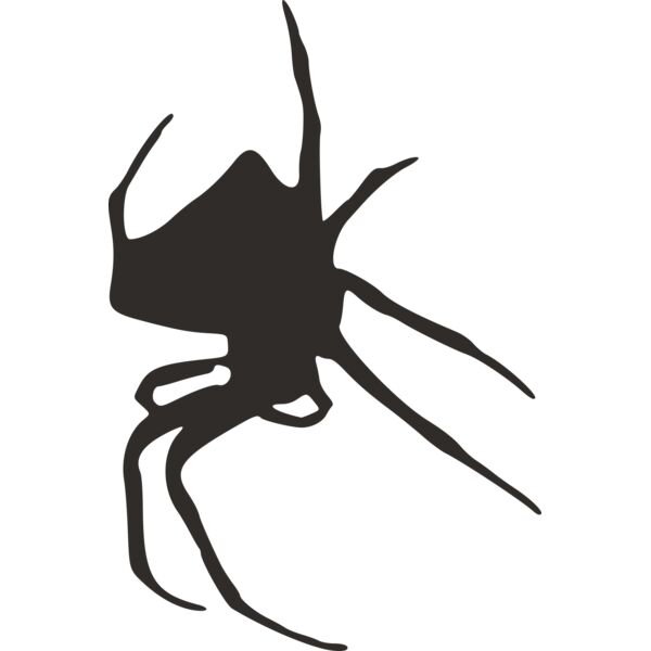 spider silhouette Thumbnail