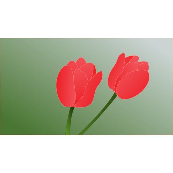 tulip  2  Thumbnail