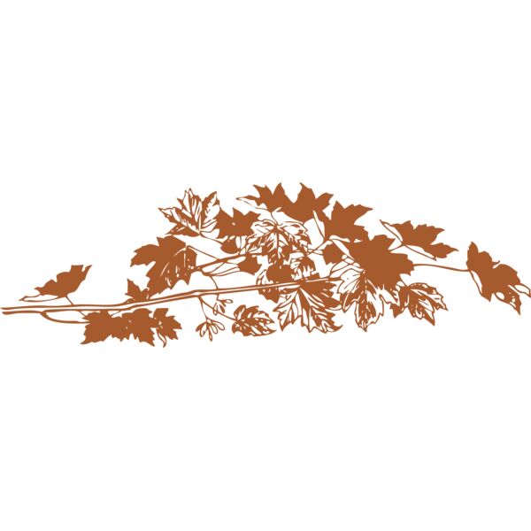 autumn leaves Thumbnail
