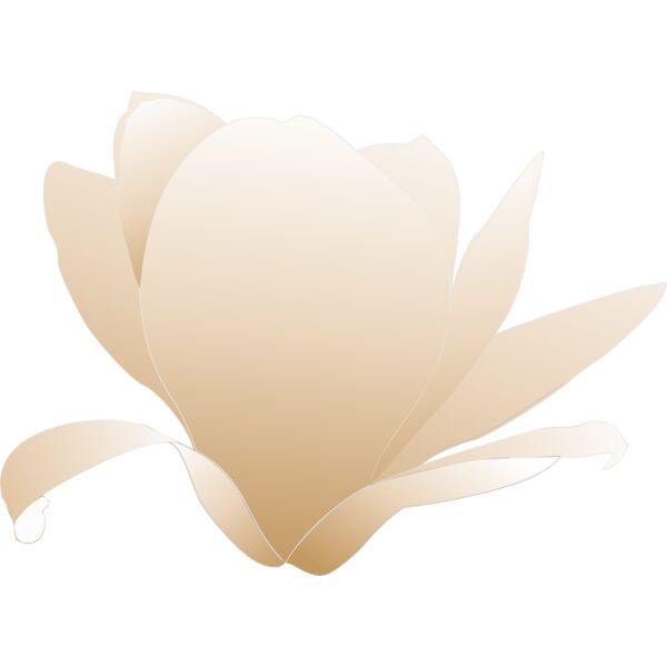 magnolia white patricia 03r Thumbnail