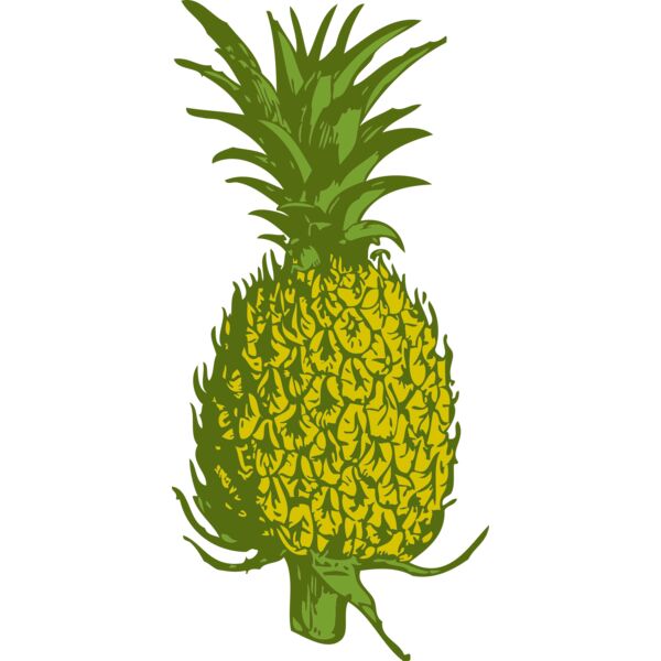 johnny automatic pineapple Thumbnail