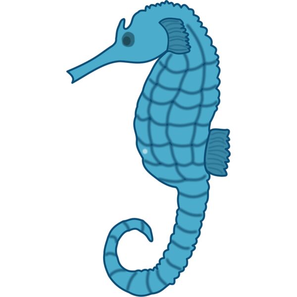 seepferdchen1 Thumbnail