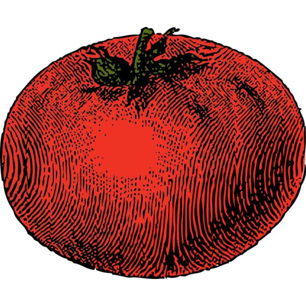johnny automatic tomato Thumbnail