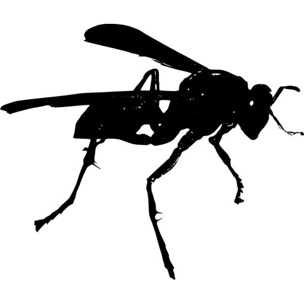 wasp po Thumbnail