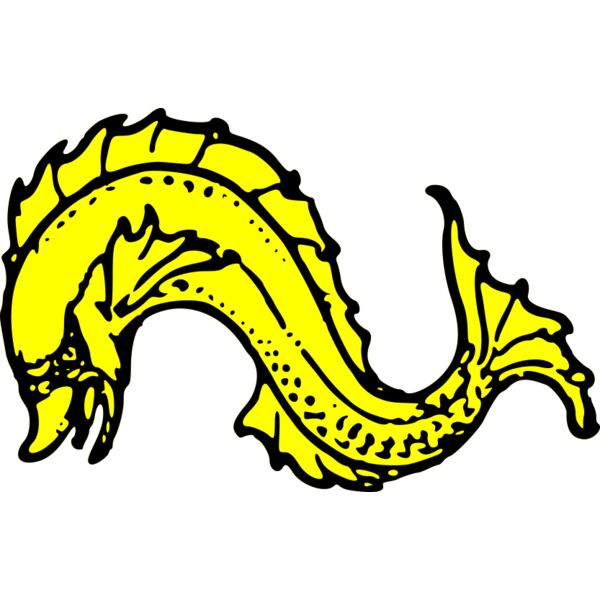 szquirrel dolphin naiant Thumbnail