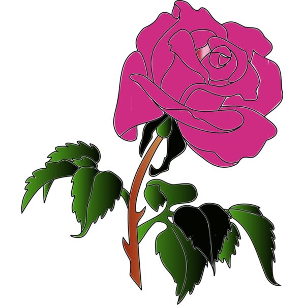 0016 aw rose070908 01 coloris2  2  Thumbnail