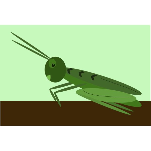 me4tanik grasshopper Thumbnail