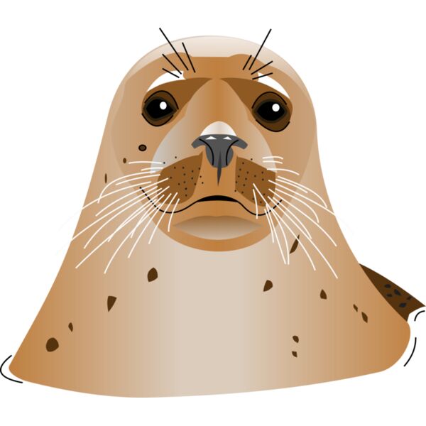 seal  3  Thumbnail