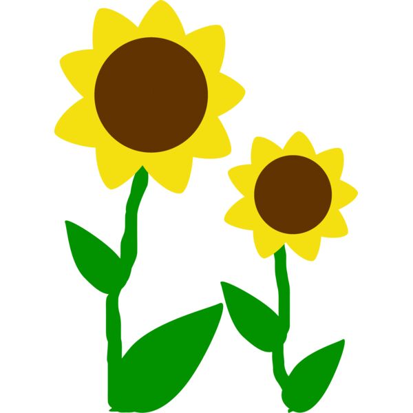 Machovka sunflowers Thumbnail