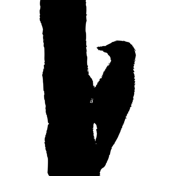 woodpecker outline Thumbnail