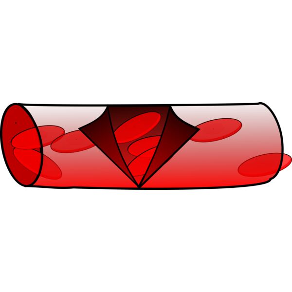 blood vessel  2  Thumbnail