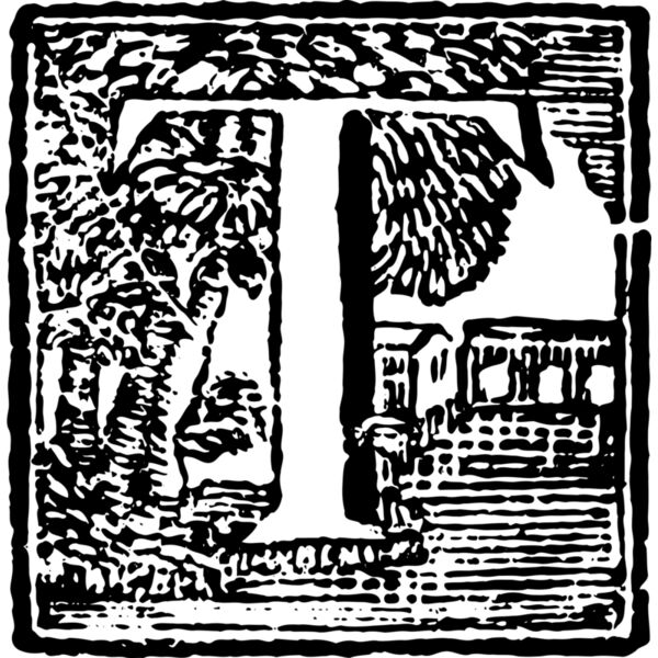 ryanlerch decorative letter T Thumbnail