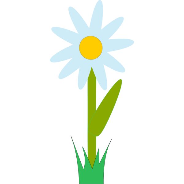 Machovka marguerite Thumbnail