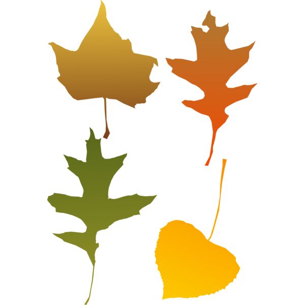 autum leaf Thumbnail